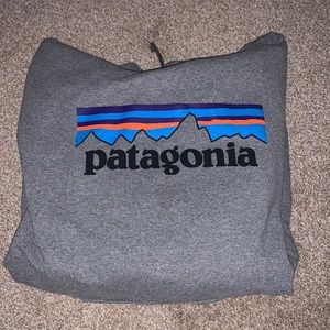 Patagonia Hoodie